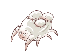 螨虫 gif.gif