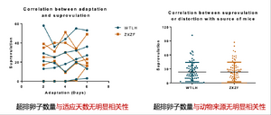 超排卵子数量与适应时间 小鼠来源的关系.png