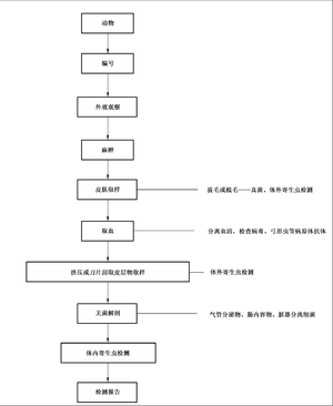GB 14922-2022 图1 监测程序.png