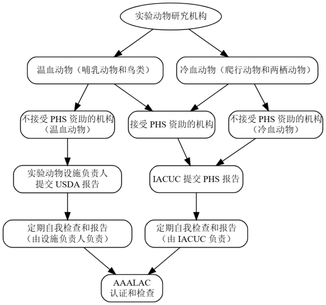 文件:实验动物问题汇报流程 美国.png